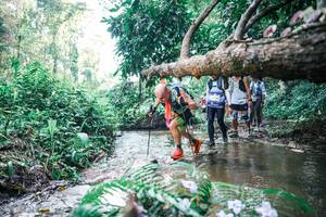 BIB: 
                            <button type="button" onclick="openModal(25452819)" class="btn btn-primary btn-sm float-right btn-popup" data-toggle="modal" data-target=".modal-high-quality">
                        <i class="fas fa-shopping-cart"></i> Add to Cart
                    </button>
                                            <button type="button" onclick="isThisMe(25452819, true)" class="btn btn-success btn-sm float-right btn-popup btn-isme hidden" data-toggle="tooltip" data-placement="bottom" title="นี่คือรูปของคุณใช่ไหม คลิกที่นี่เพื่อเอาเข้าอัลบั้ม">
                        <i class="fas fa-plus"></i> Add to album
                    </button>
                    <button type="button" onclick="isThisMe(25452819, false)" class="btn btn-warning btn-sm float-right btn-popup btn-isnotme hidden">
                        <i class="fas fa-ban"></i> Remove from album
                    </button>